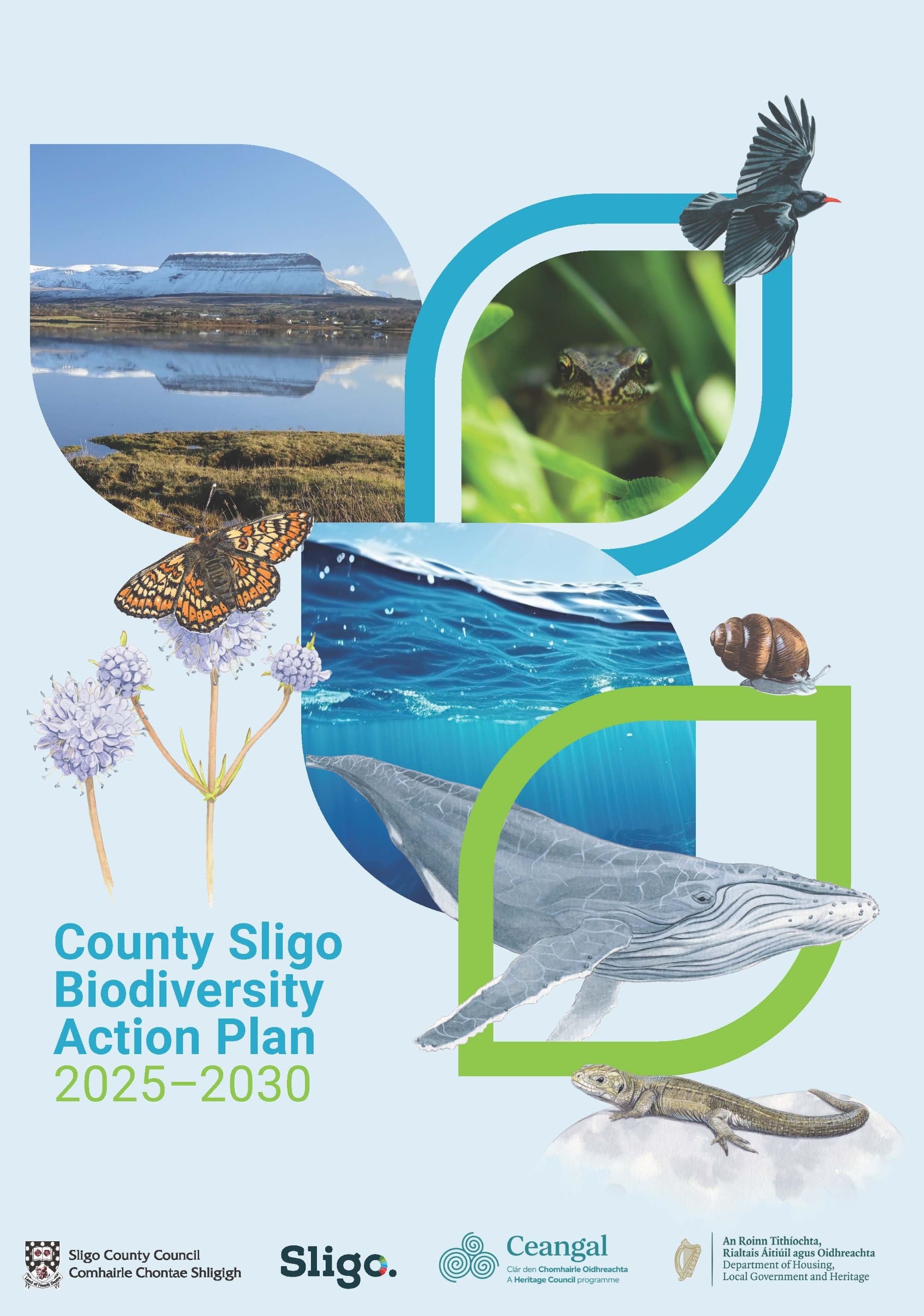 Sligo BAP cover 